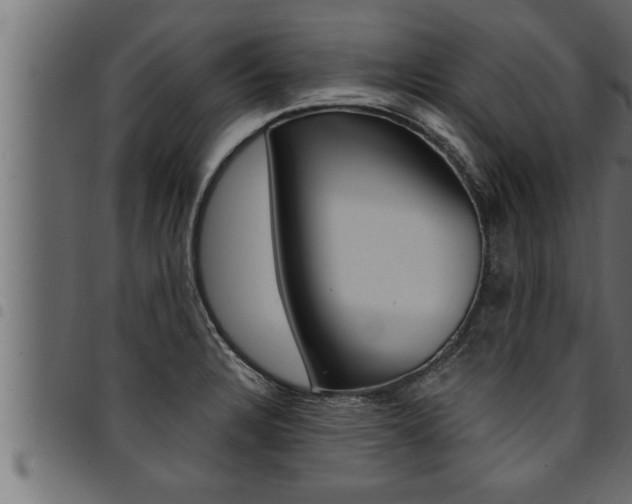 X0000094921328200711291013