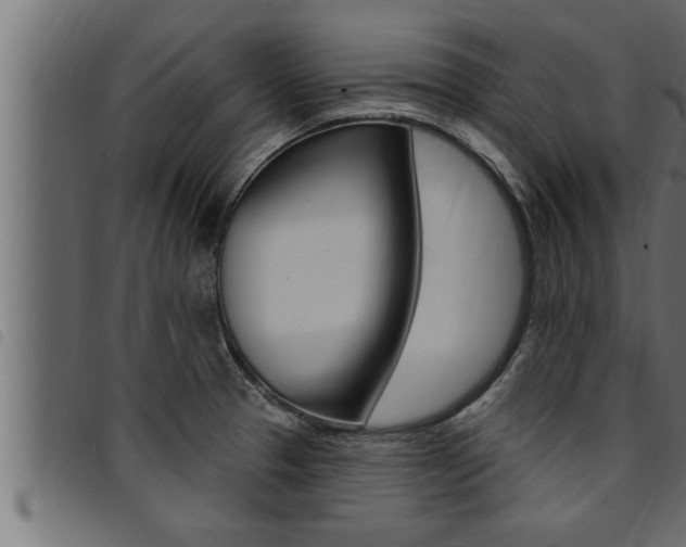 X0000094921329200711291013
