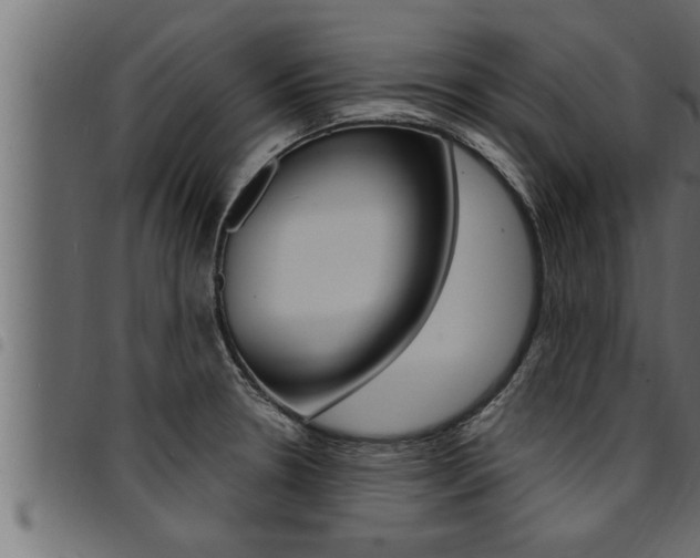 X0000094921330200711291014