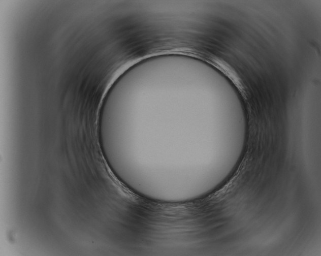 X0000094921332200711291014