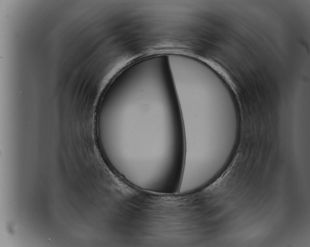 X0000094921333200711291014