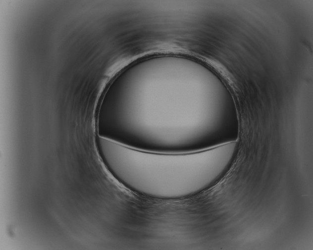 X0000094921335200711291014