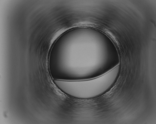 X0000094921336200711291014