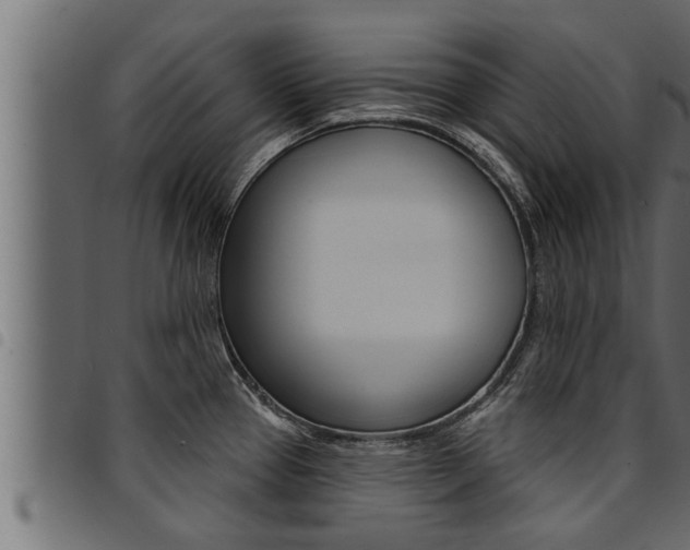 X0000094921337200711291014