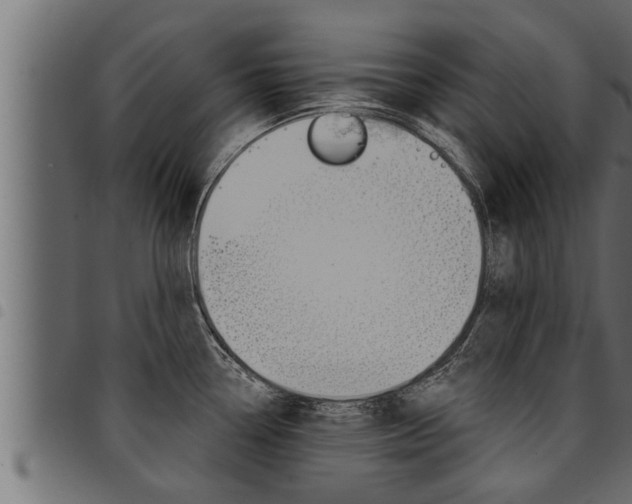 X0000094921338200711291014