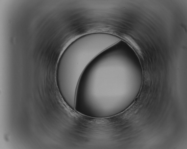 X0000094921340200711291014