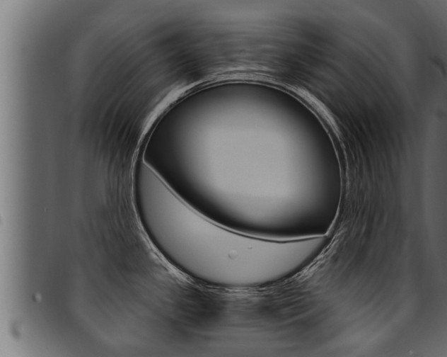 X0000094921341200711291014