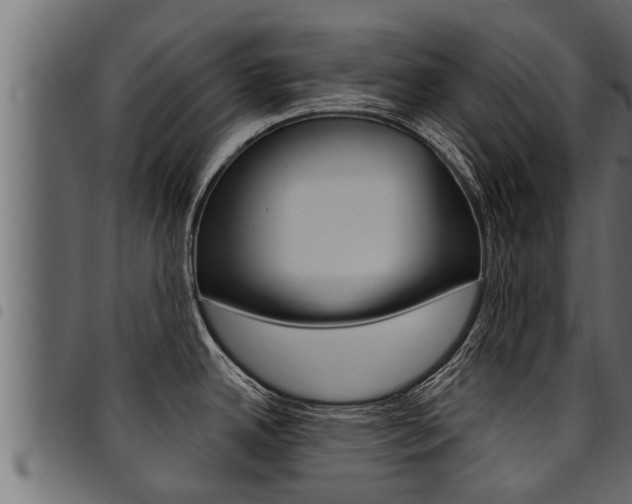 X0000094921342200711291014