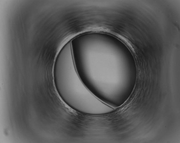 X0000094921343200711291014