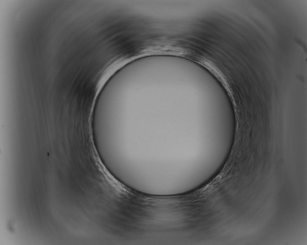 X0000094921344200711291014