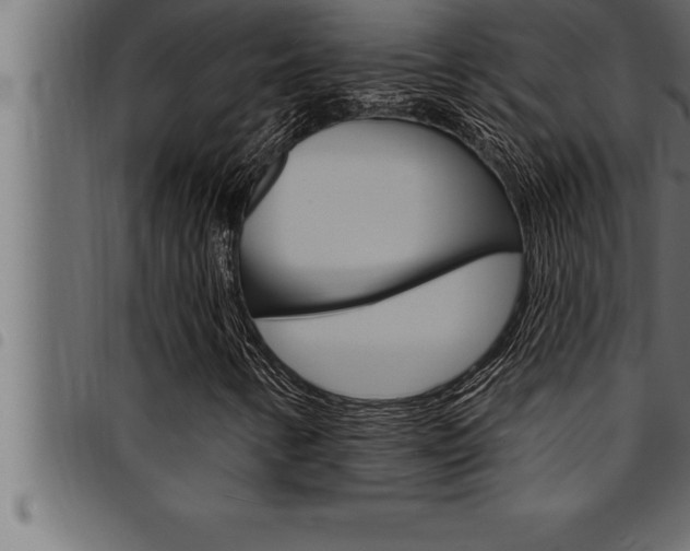 X0000094921346200711291013