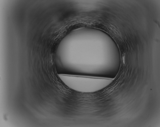 X0000094921347200711291013