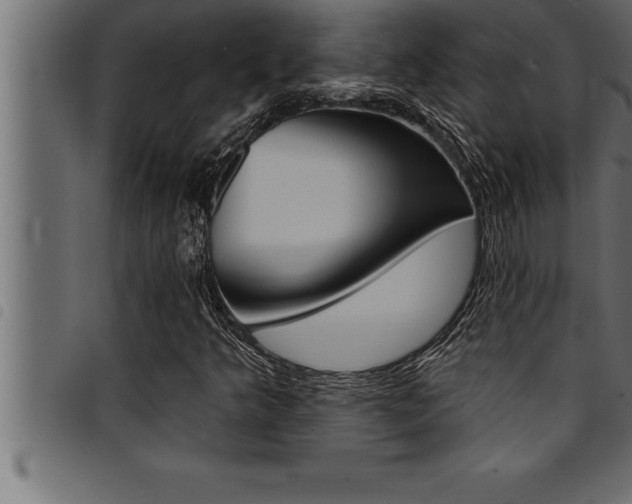 X0000094921349200711291013
