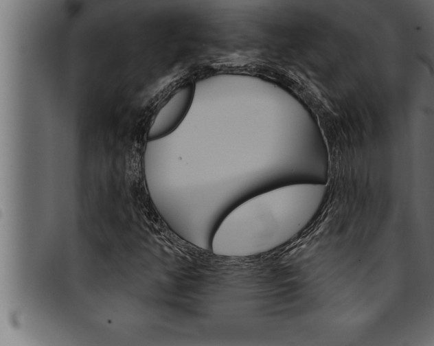 X0000094921350200711291013