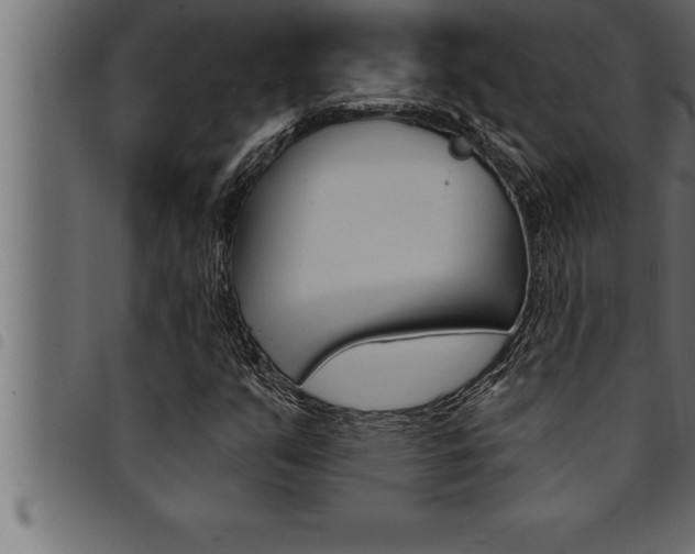 X0000094921351200711291013