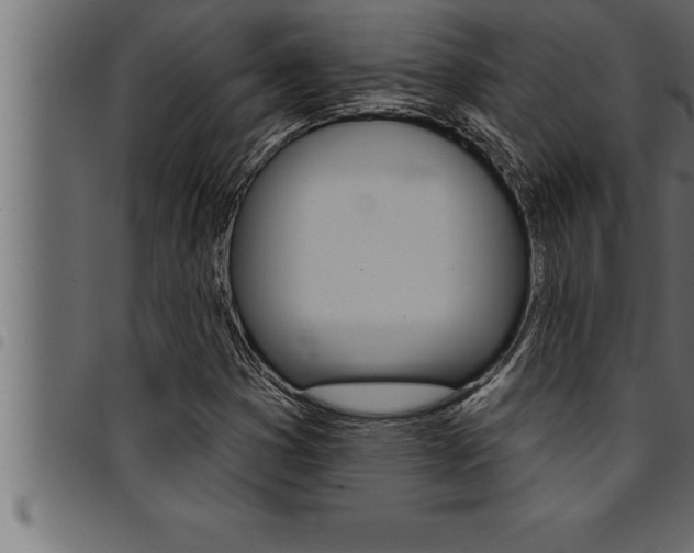 X0000094921353200711291013