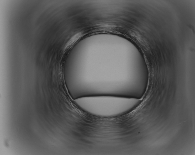 X0000094921354200711291013