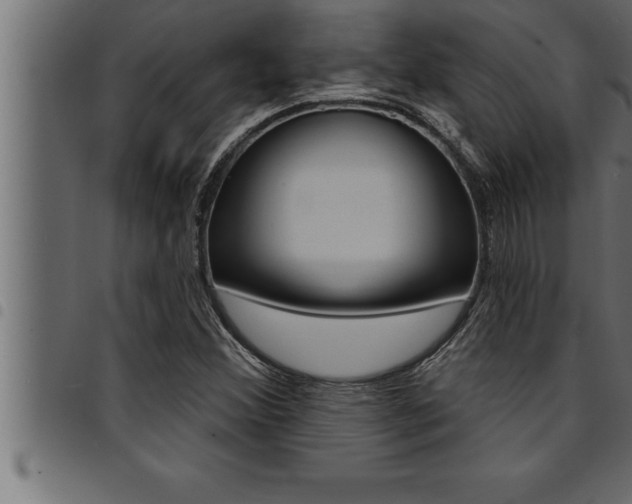 X0000094921356200711291013