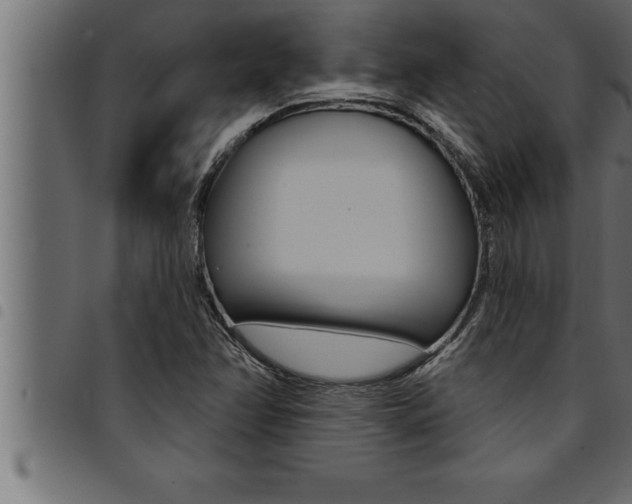 X0000094921358200711291013