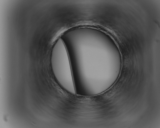 X0000094921359200711291013