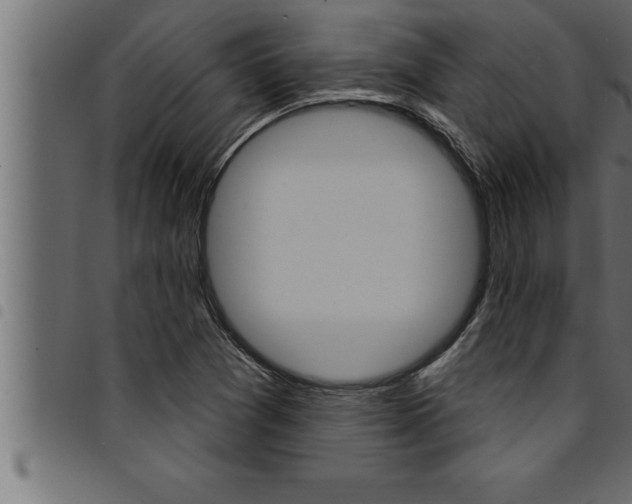 X0000094921361200711291013