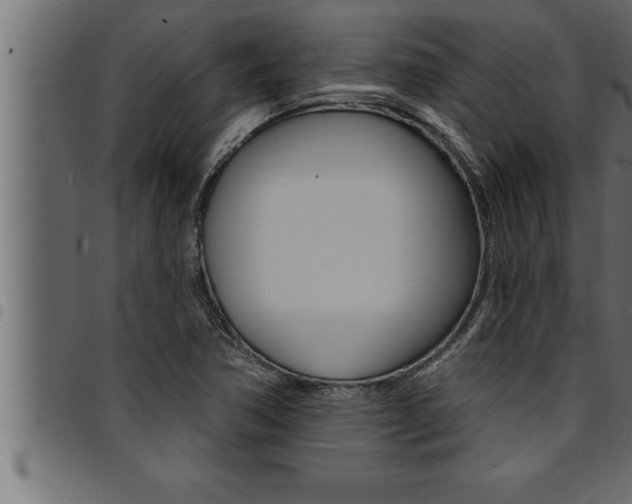 X0000094921362200711291013
