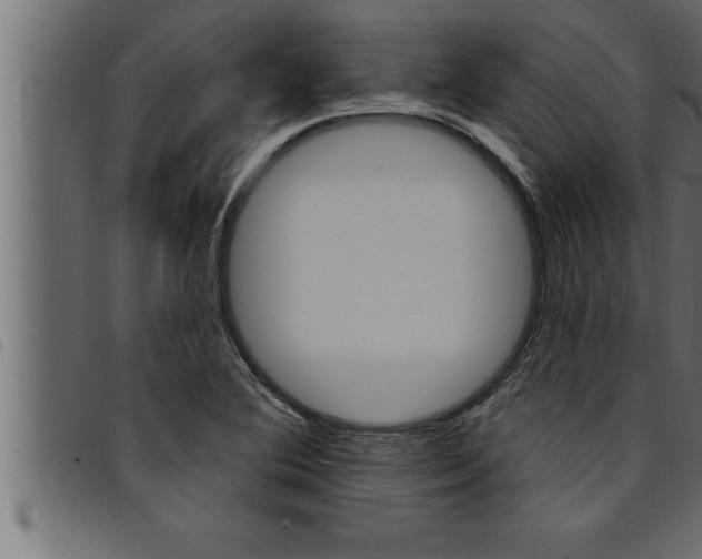 X0000094921364200711291013