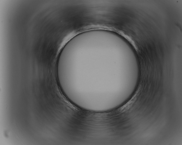 X0000094921365200711291013