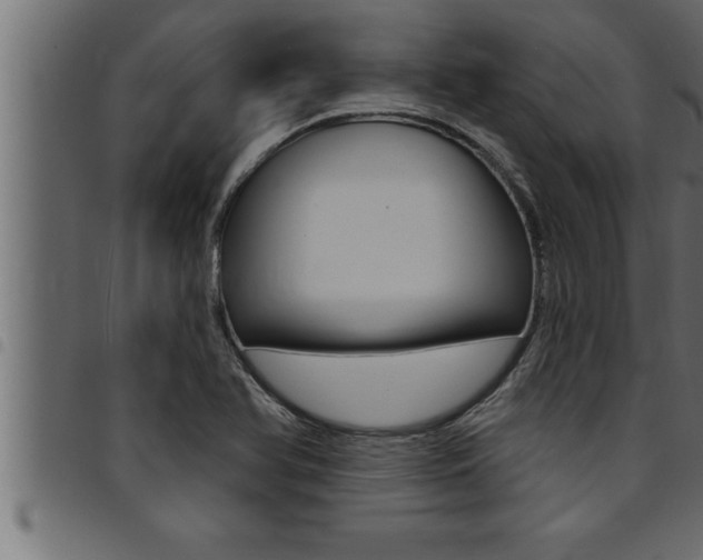 X0000094921366200711291013