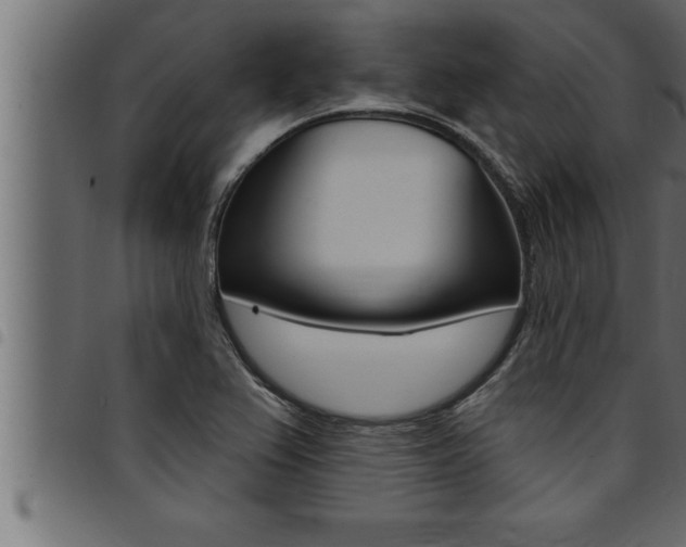 X0000094921367200711291013