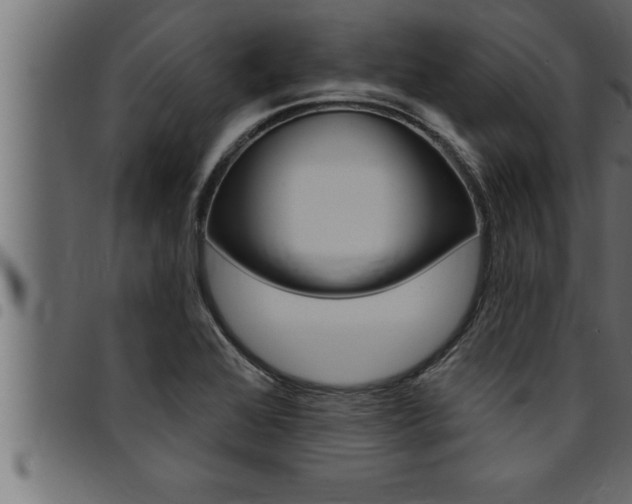 X0000094921368200711291013