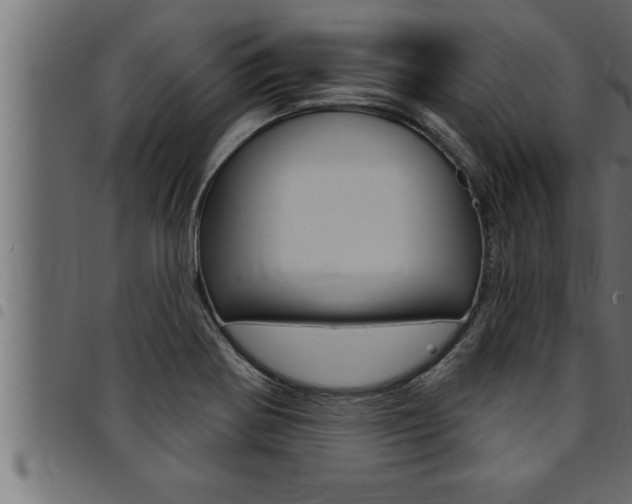 X0000094921370200711291013