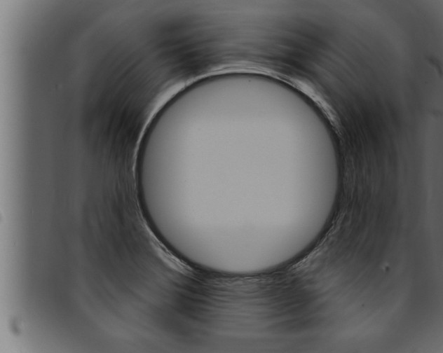 X0000094921372200711291013