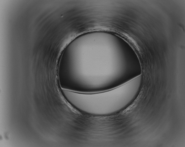 X0000094921373200711291013
