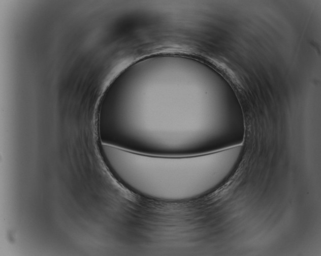 X0000094921375200711291013