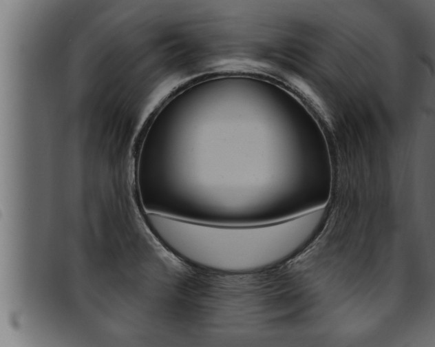 X0000094921376200711291013