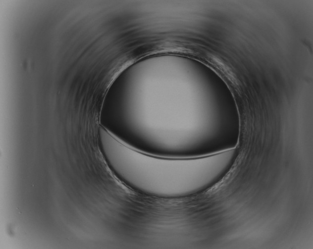 X0000094921377200711291013