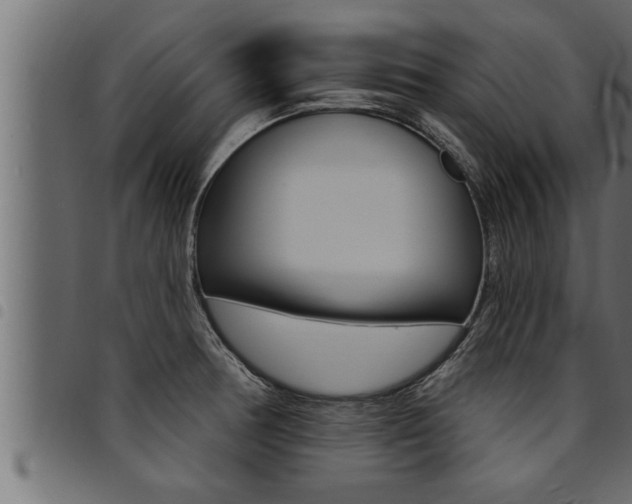 X0000094921378200711291013