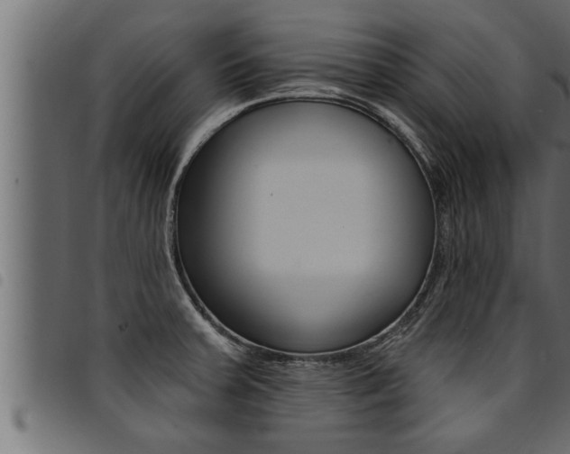 X0000094921379200711291013