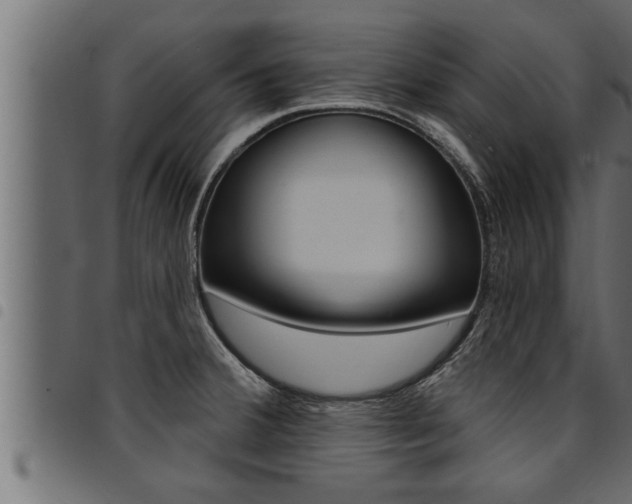 X0000094921380200711291013