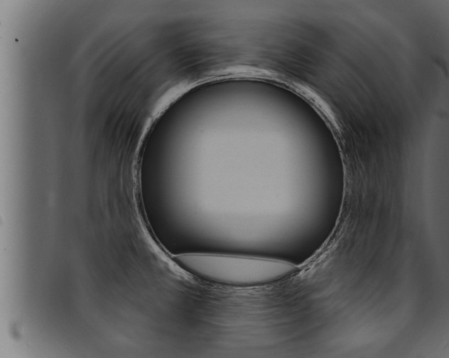 X0000094921381200711291013