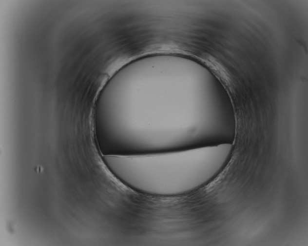 X0000094921382200711291013