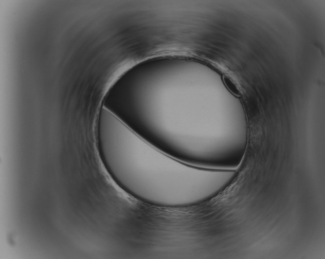 X0000094921383200711291013