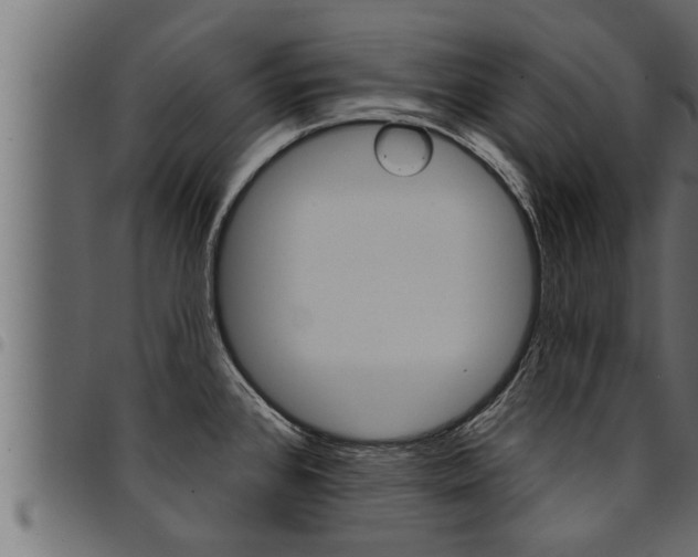 X0000094921384200711291013