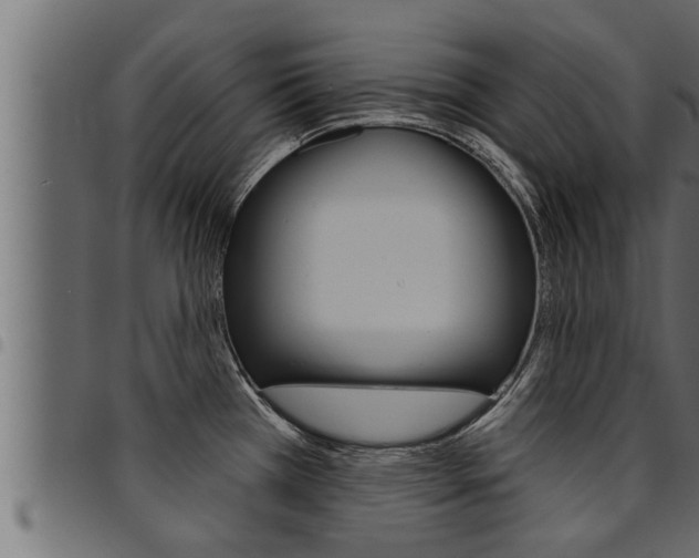 X0000094921385200711291013