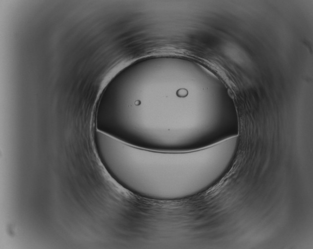 X0000094921387200711291012
