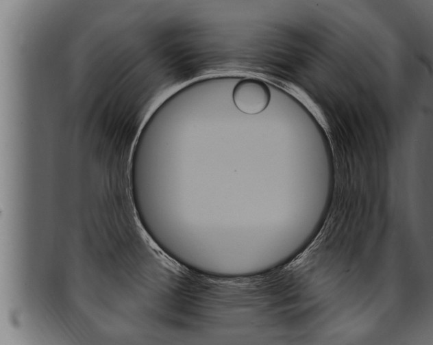 X0000094921388200711291012