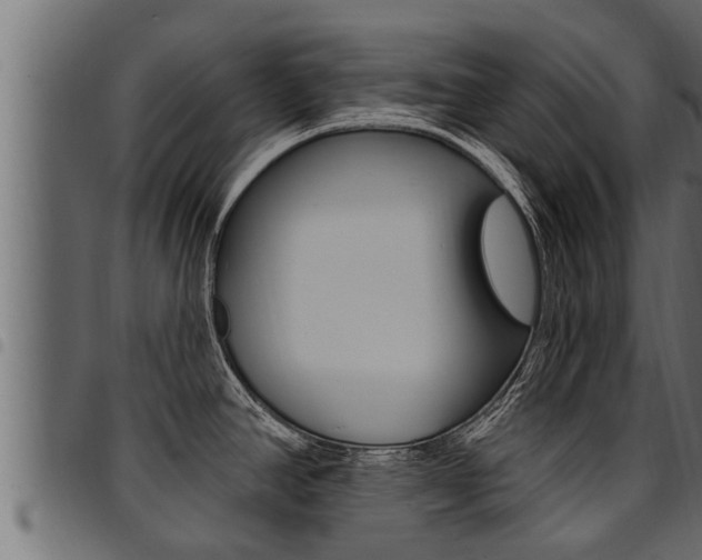 X0000094921390200711291012