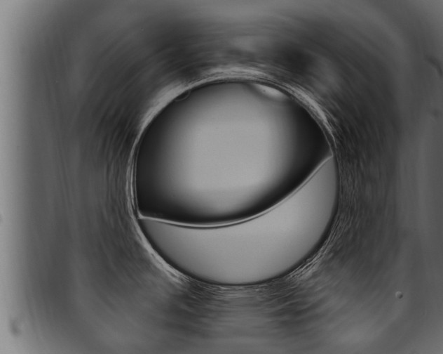 X0000094921391200711291012