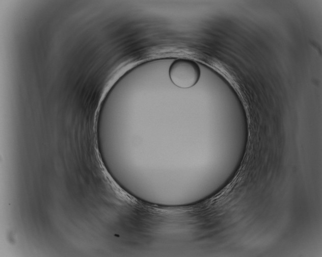 X0000094921392200711291012
